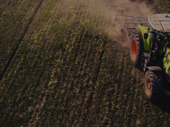 From Farm to Fork: Macedonia’s Fresh Fruit & Veg Revolution